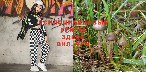 хмурый Козельск