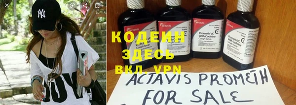 трава Кодинск