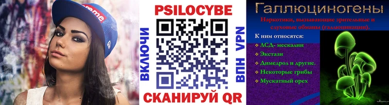 Купить где  Губаха  Галлюциногенные грибы мицелий 
